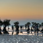 green-growth-indonesia-1