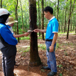 Koltiva-Huy-Anh-ACV-1